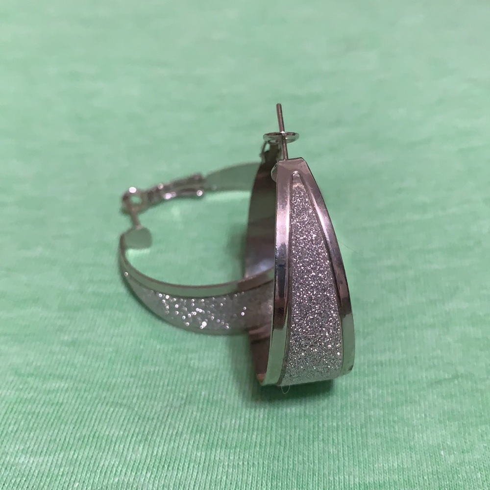 Shiny Silver Tone Earrings